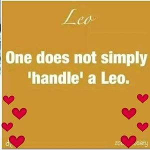 Meet your Posher, Windy